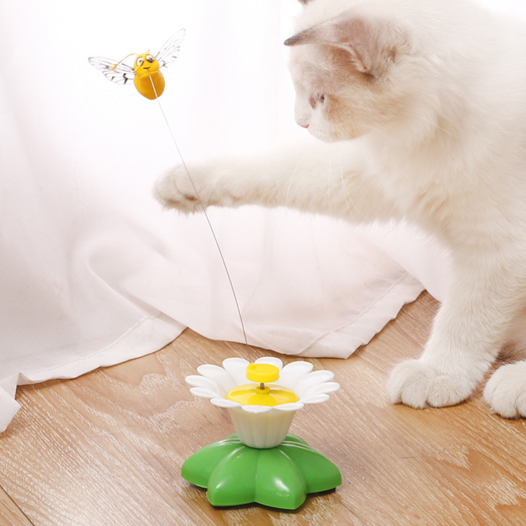 Cat Toy Rotating Butterfly Bird Bee Toys - Cat Toys - DINIBLO 