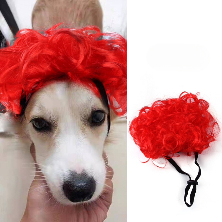 Pet Hair Wig Funny Costume - Dog Apparel - DINIBLO 