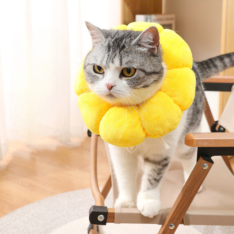 Sunflower Plush Collar Anti-licking - Cat Apparel - DINIBLO 