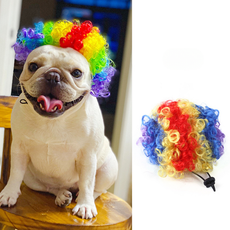 Pet Hair Wig Funny Costume - Dog Apparel - DINIBLO 