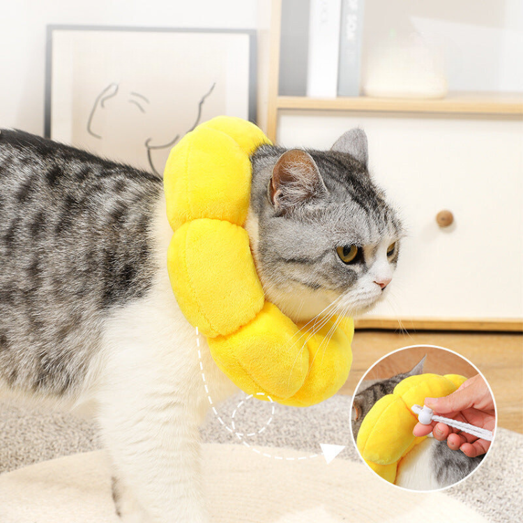 Sunflower Plush Collar Anti-licking - Cat Apparel - DINIBLO 