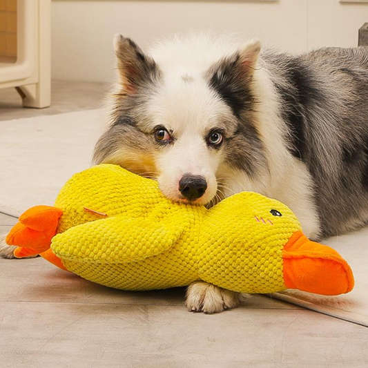 Duck Plush Squeaky Dog Toys - Dog Toys - DINIBLO 