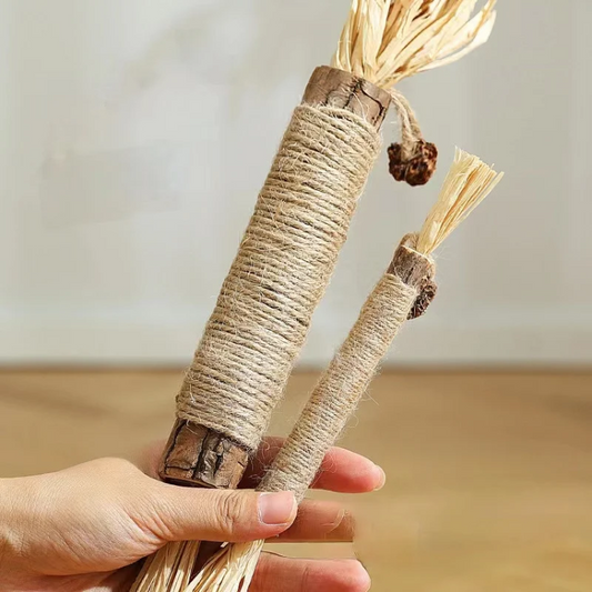 Cat Chewing Catnip Stick Toys - Cat Toys - DINIBLO 