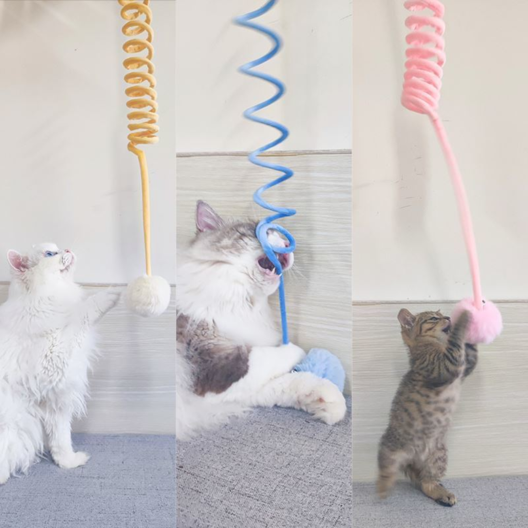 Hanging Dangling Spings Cat Toys With Bell Ball - Cat Toys - DINIBLO 