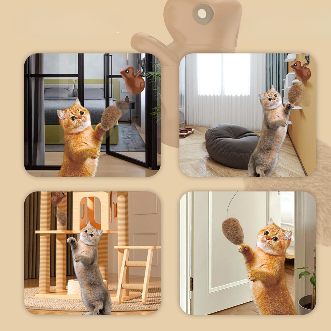 Interactive Hanging Squirrel Cat Teaser Toys - Cat Toys - DINIBLO 