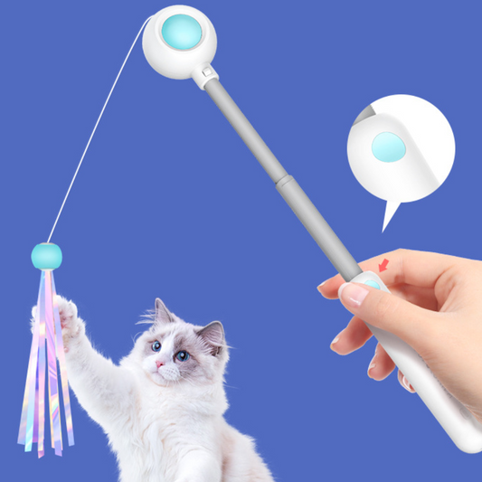 Cat Teaser Wand Toys With Laser Lights - Cat Toys - DINIBLO 