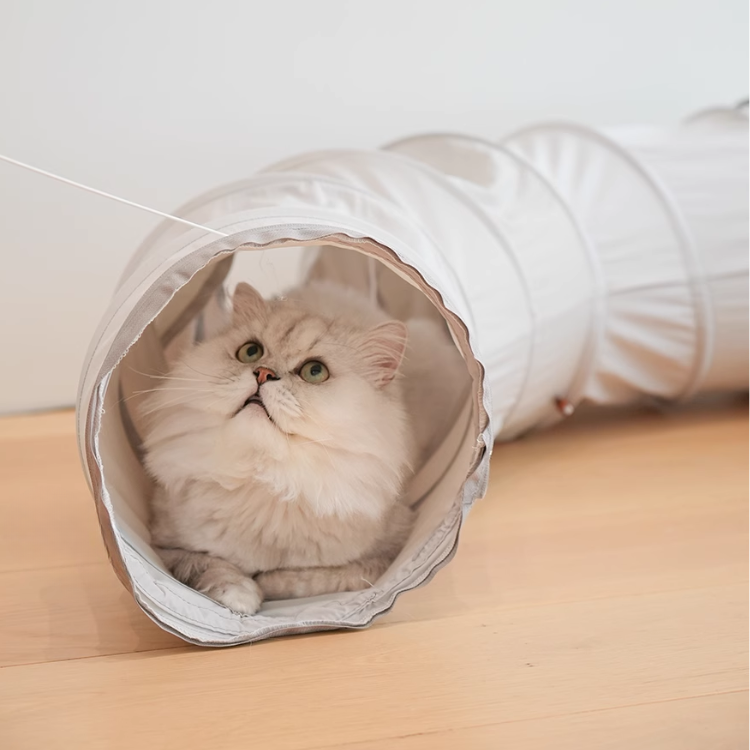 Cat Tunnels Cat Toys for Indoor Cats Cave - Cat Toys - DINIBLO 