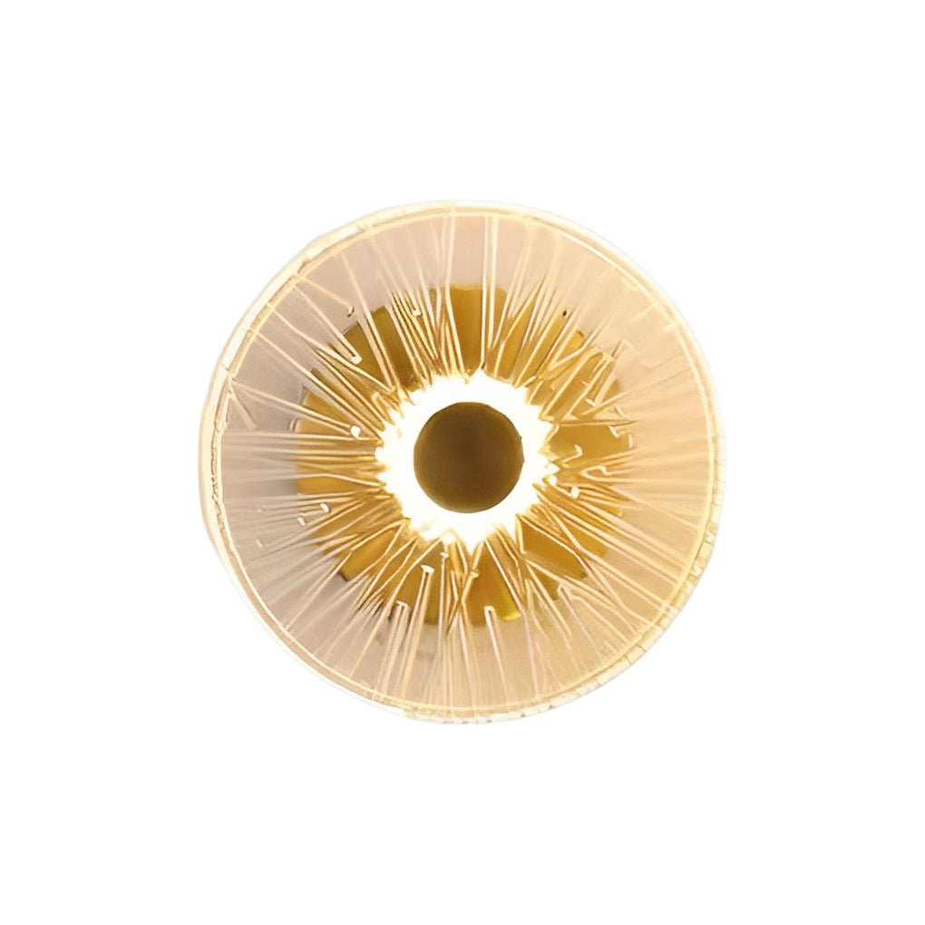 Creative Round Glass Luxury LED Personality Post-Modern Wall Light Fixture - Lighting > Wall Lights > Wall sconces - DINIBLO 