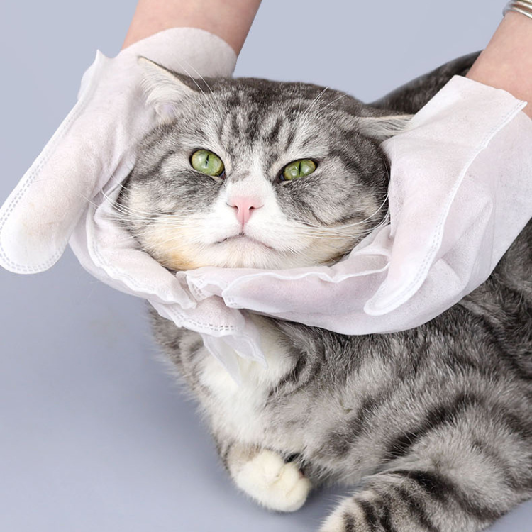 Pet Disposable Glove Wipes - Pet Wipes - DINIBLO 