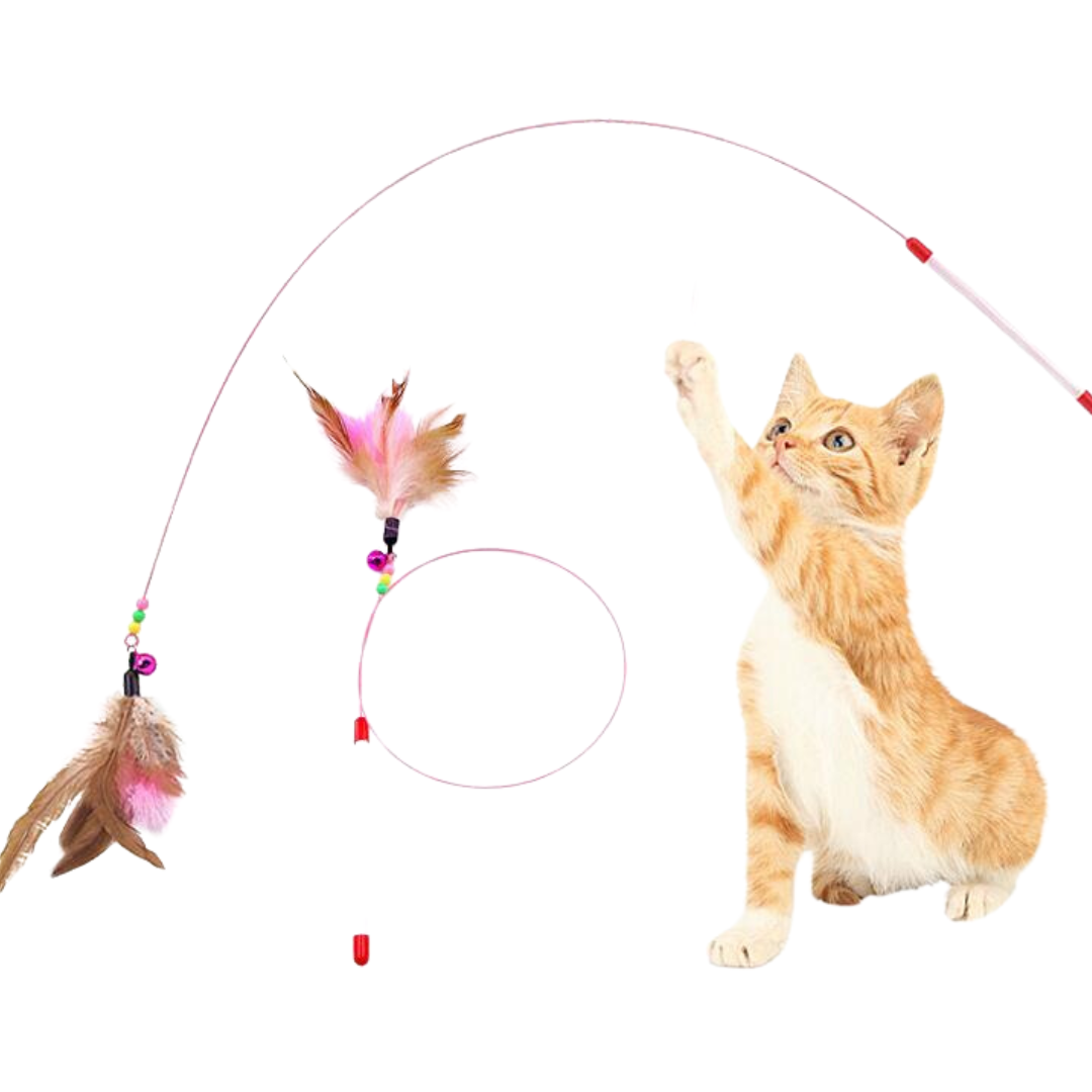 Interactive Feather Cat Teaser Toys - Cat Toys - DINIBLO 