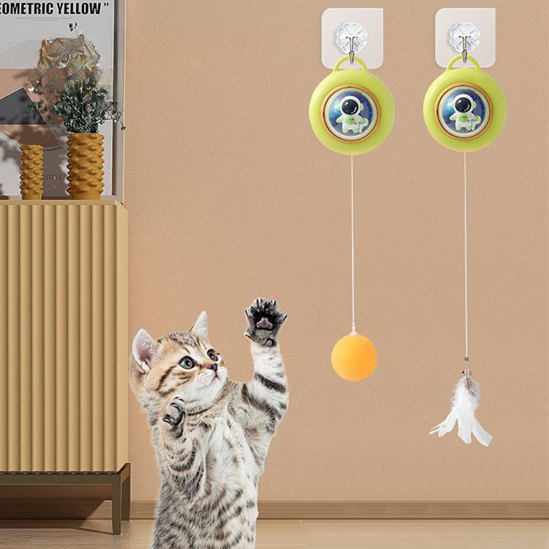 Interactive Door Hanging Cat Dangling Ball Toys - Cat Toys - DINIBLO 