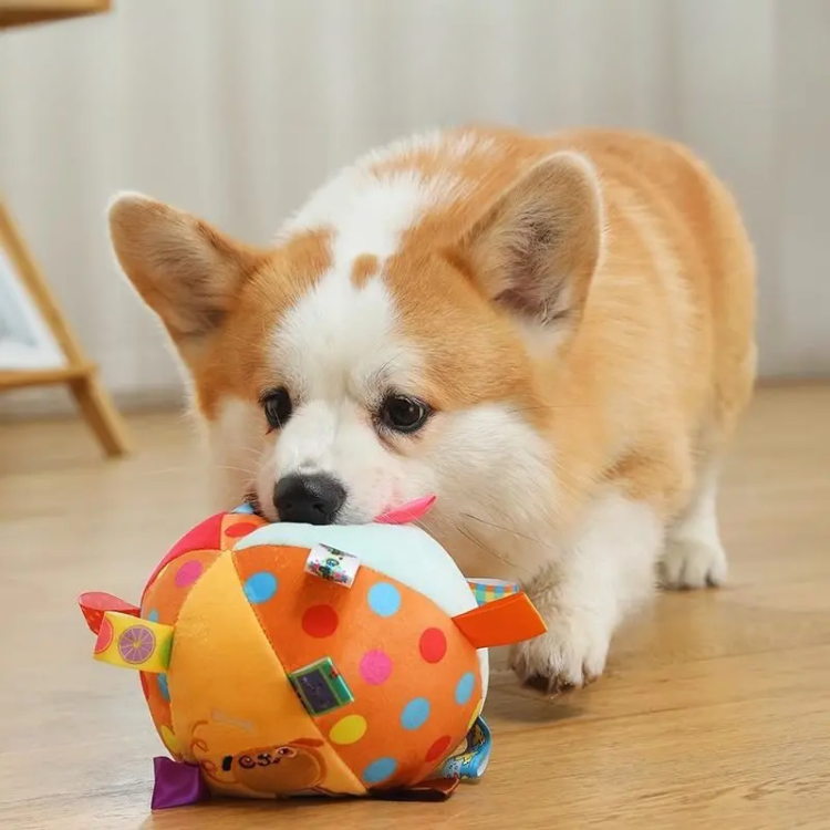 Dog Plush Ball Bell Toys - Dog Toys - DINIBLO 