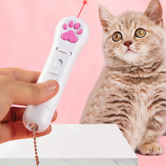 Laser Light Toys For Cat Kittens - Cat Toys - DINIBLO 