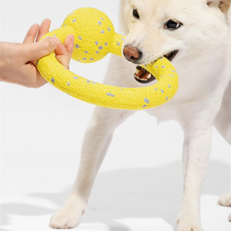 Dog Ring Chew Toys Balls - Dog Toys - DINIBLO 