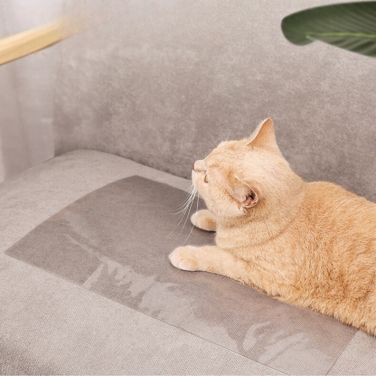 Transparent Cat Couch Protector Anti Cat Scratch - Cat Furniture Accessories - DINIBLO 