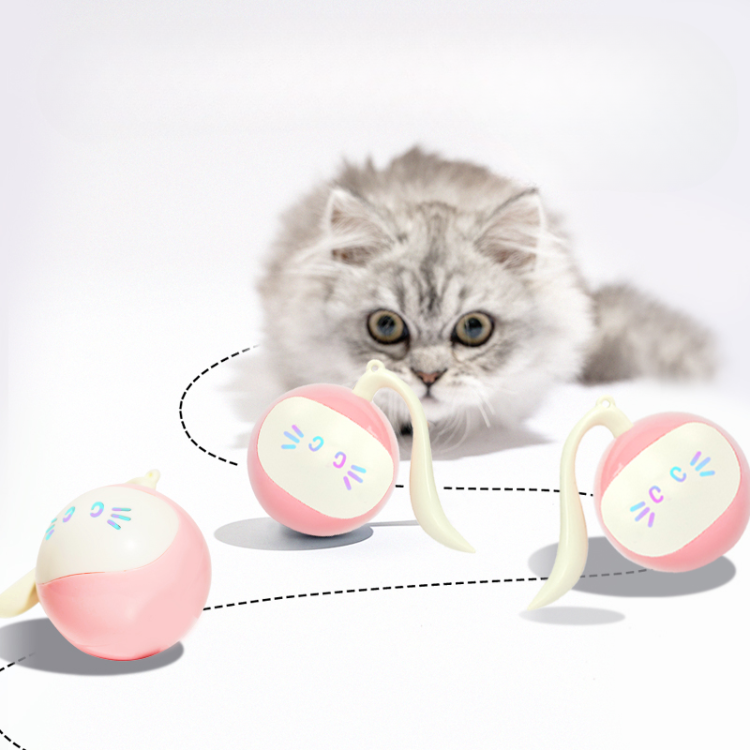 Smart Magic Ball Electric Cat Toys - Cat Toys - DINIBLO 