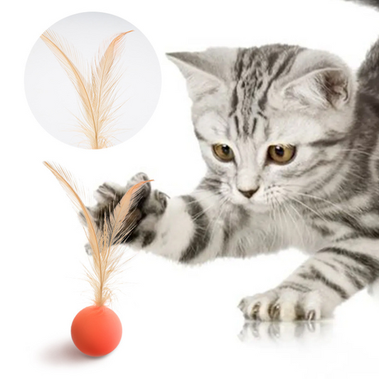 Interactive Elastic Jumping Ball With Feather - Cat Toys - DINIBLO 