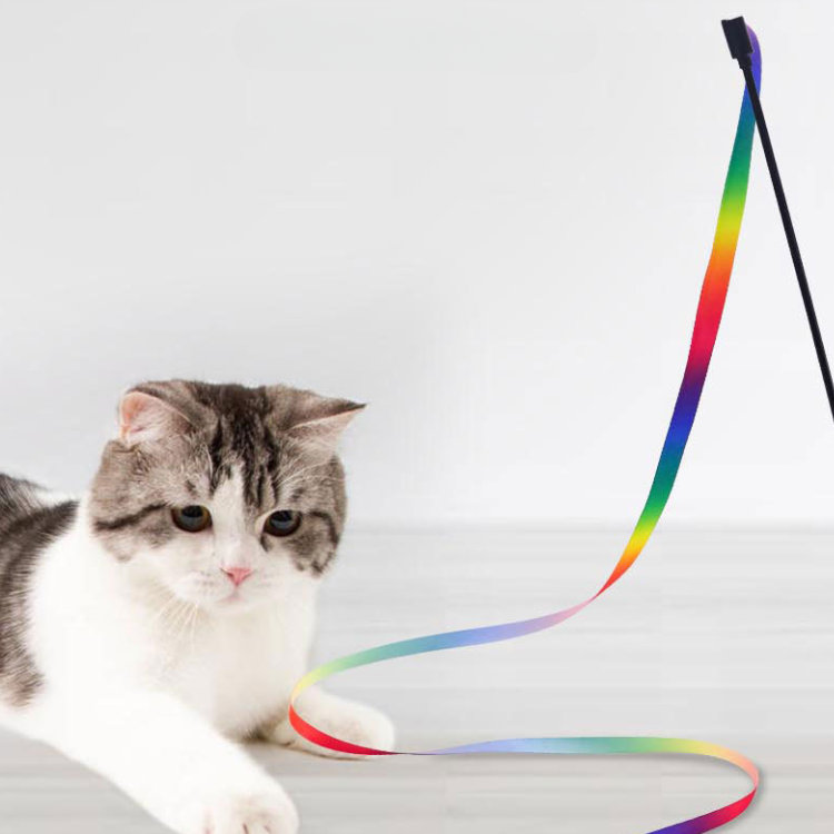 Rainbow Ribbon Cat Teaser Toy - Cat Toys - DINIBLO 