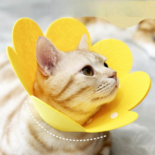 Flower Plush Collar Anti-licking Collar - Cat Apparel - DINIBLO 