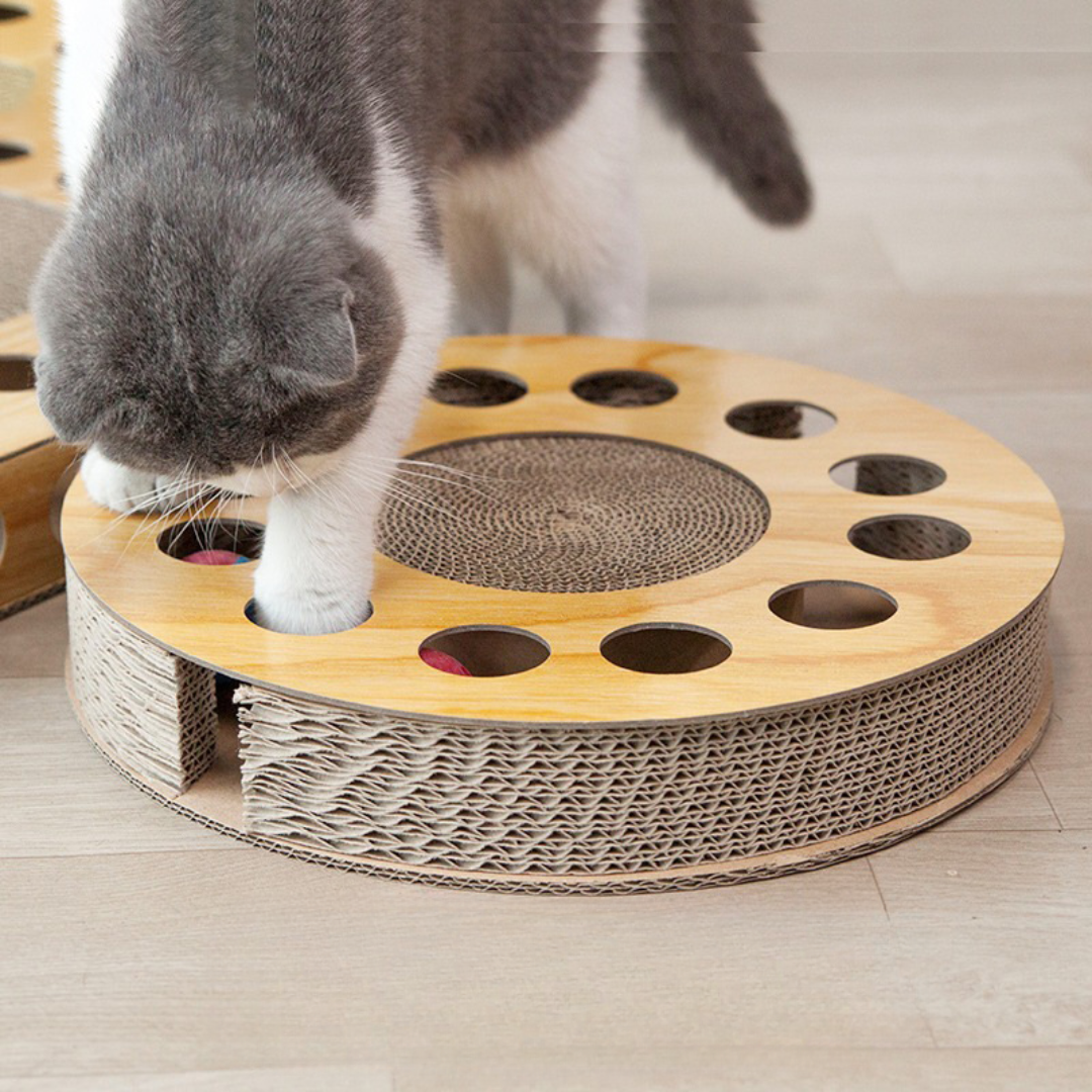 Interactive Maze & Scratch Cardboard Cat Toys - Cat Toys - DINIBLO 