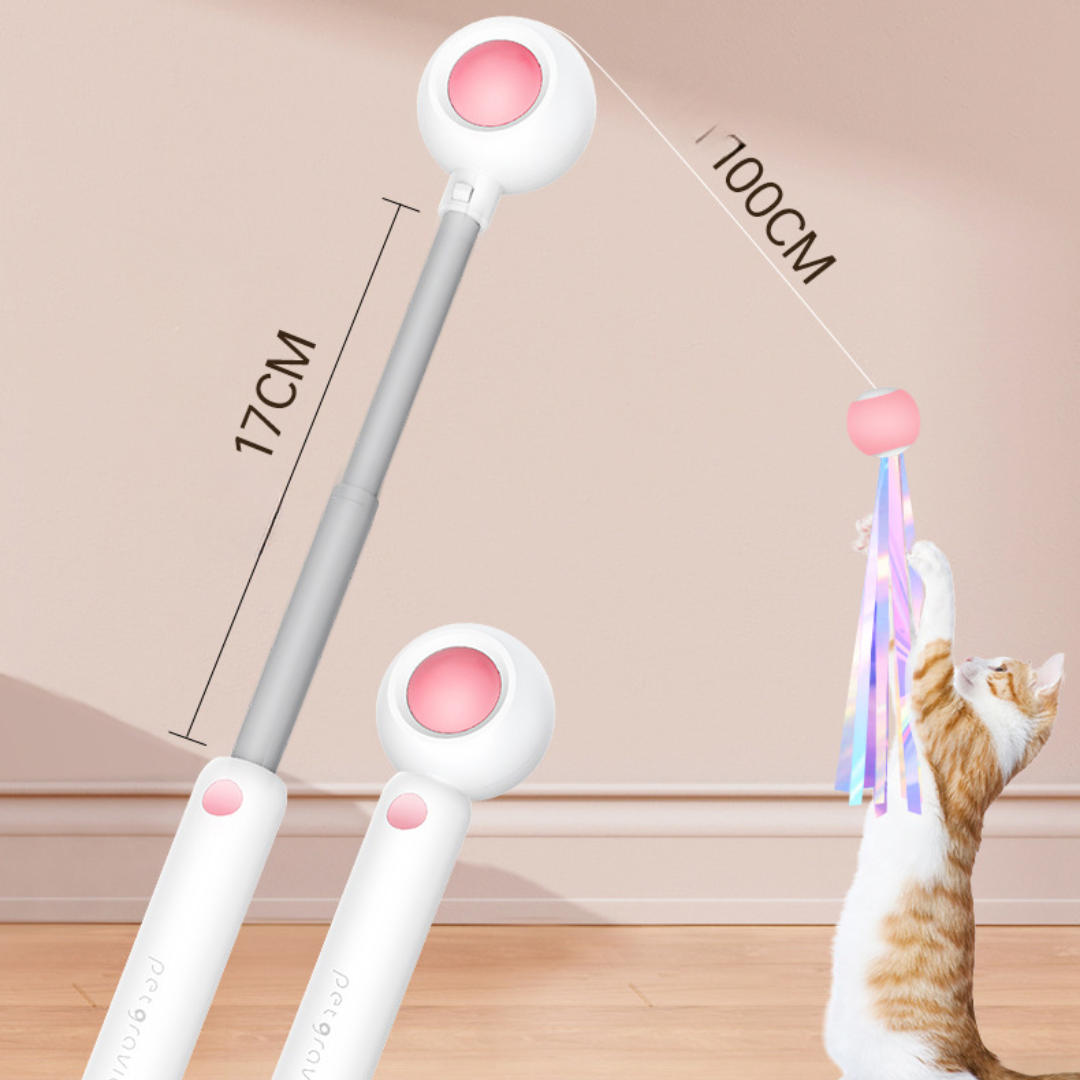 Cat Teaser Wand Toys With Laser Lights - Cat Toys - DINIBLO 