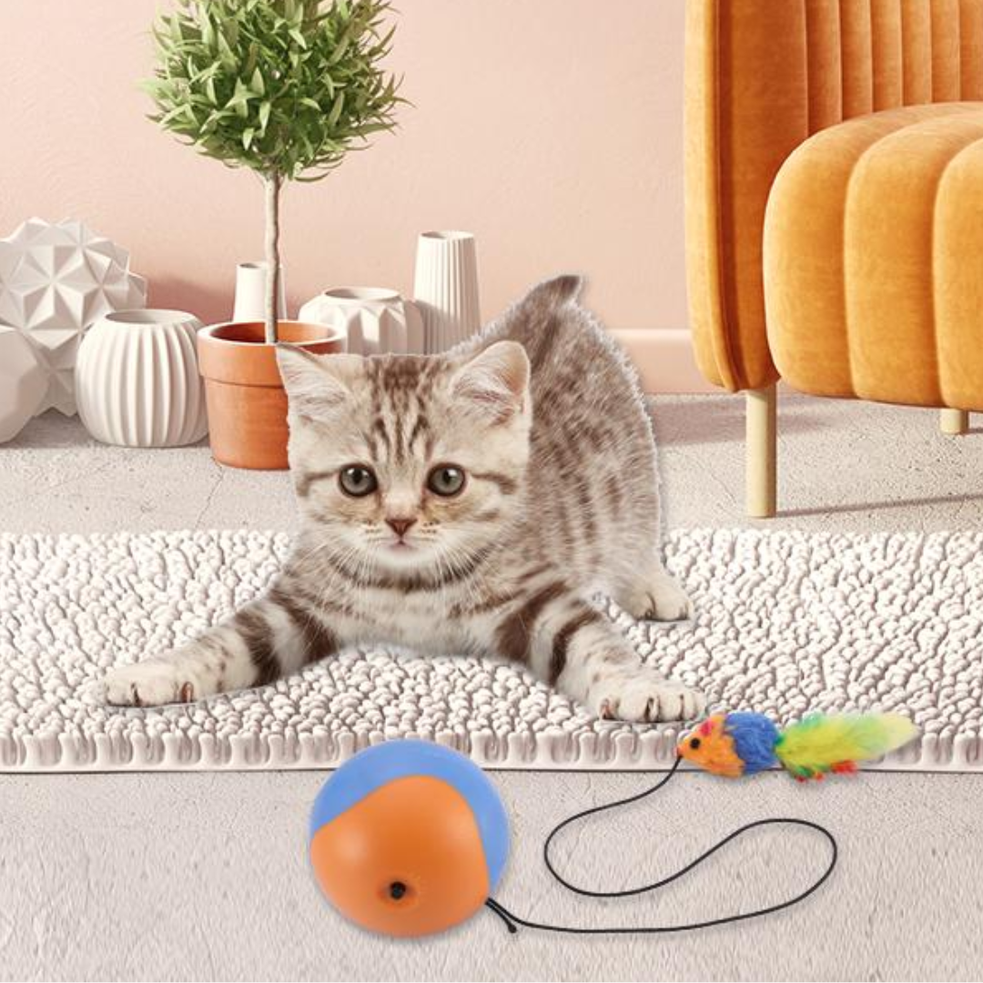 Cat Rolling Ball Toys With Mouse Feather - Cat Toys - DINIBLO 