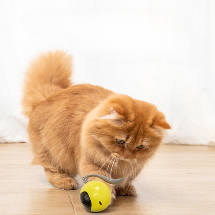 Smart Magic Ball Electric Cat Toys - Cat Toys - DINIBLO 