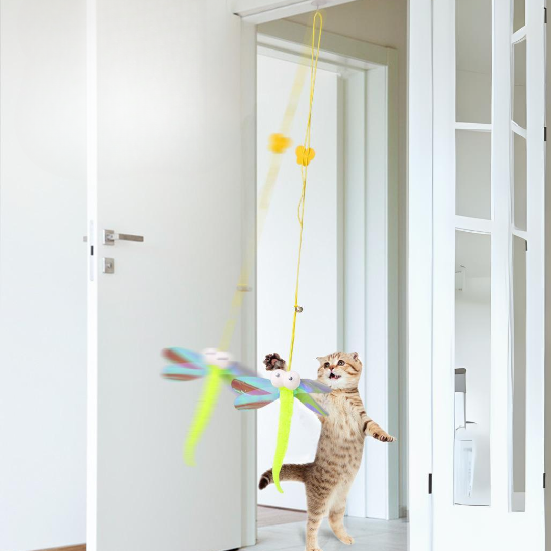 Door Hanging Interactive Teaser Toys For Pet Cats - Cat Toys - DINIBLO 