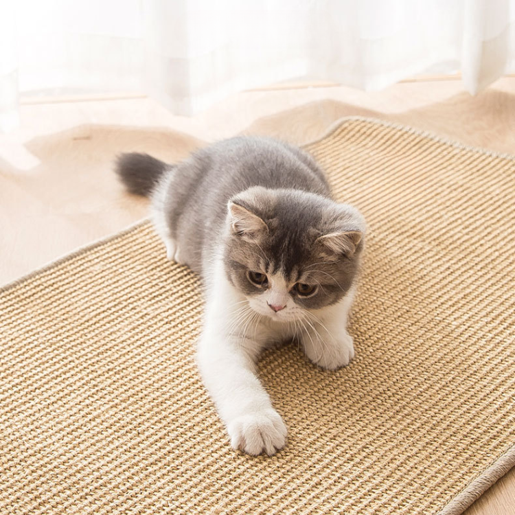 Cat Scratching Sisal Mat Sofa Protection - Cat Toys - DINIBLO 