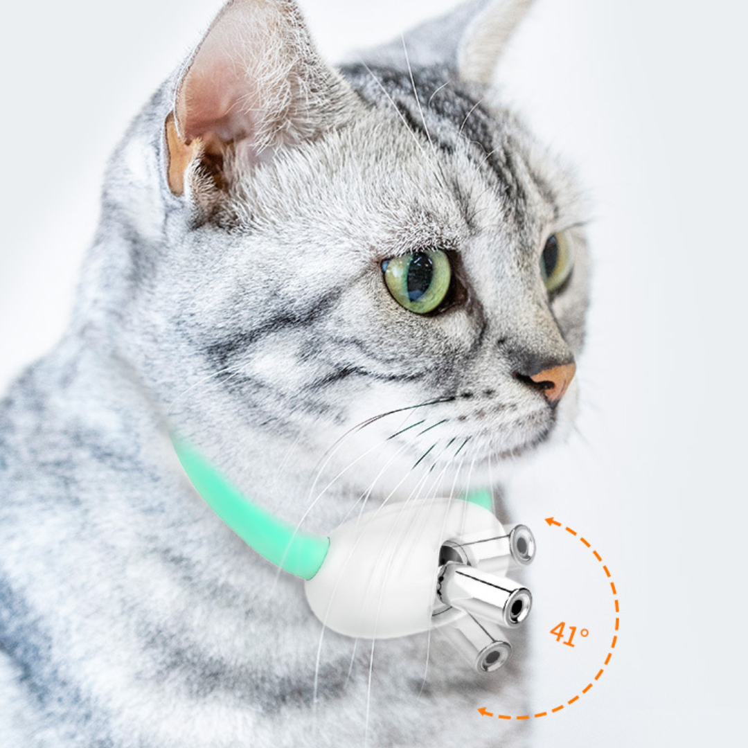 Cat Collar Laser Light Toys - Cat Toys - DINIBLO 