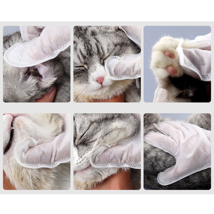 Pet Disposable Glove Wipes - Pet Wipes - DINIBLO 