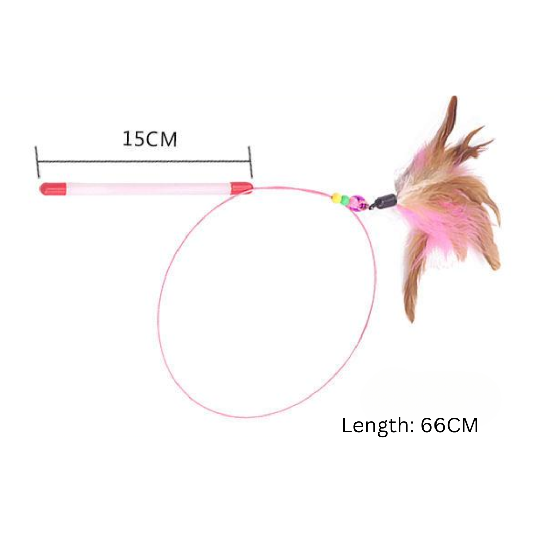 Interactive Feather Cat Teaser Toys - Cat Toys - DINIBLO 