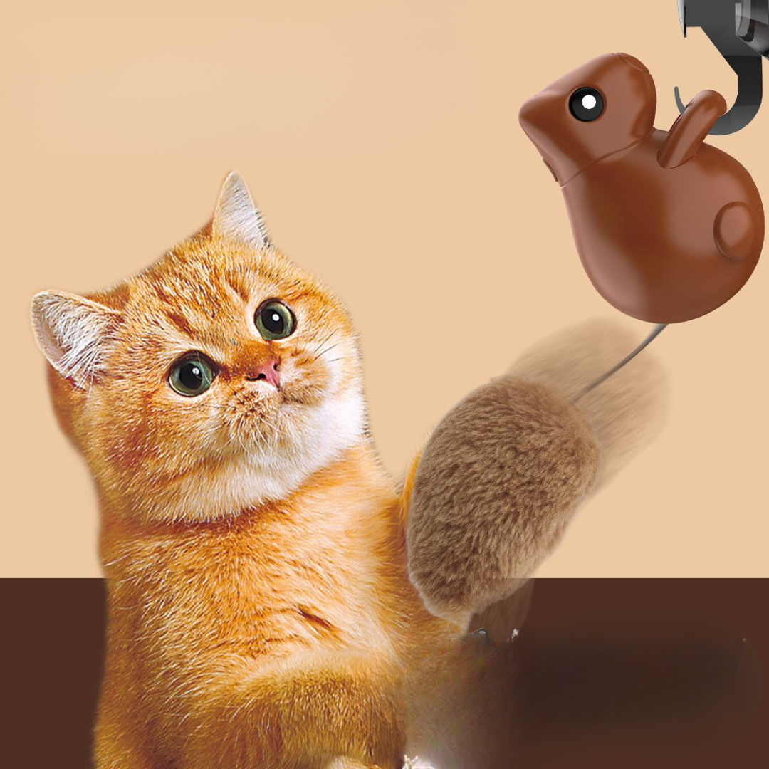 Interactive Hanging Squirrel Cat Teaser Toys - Cat Toys - DINIBLO 