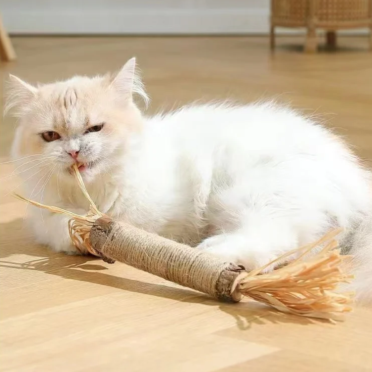 Cat Chewing Catnip Stick Toys - Cat Toys - DINIBLO 