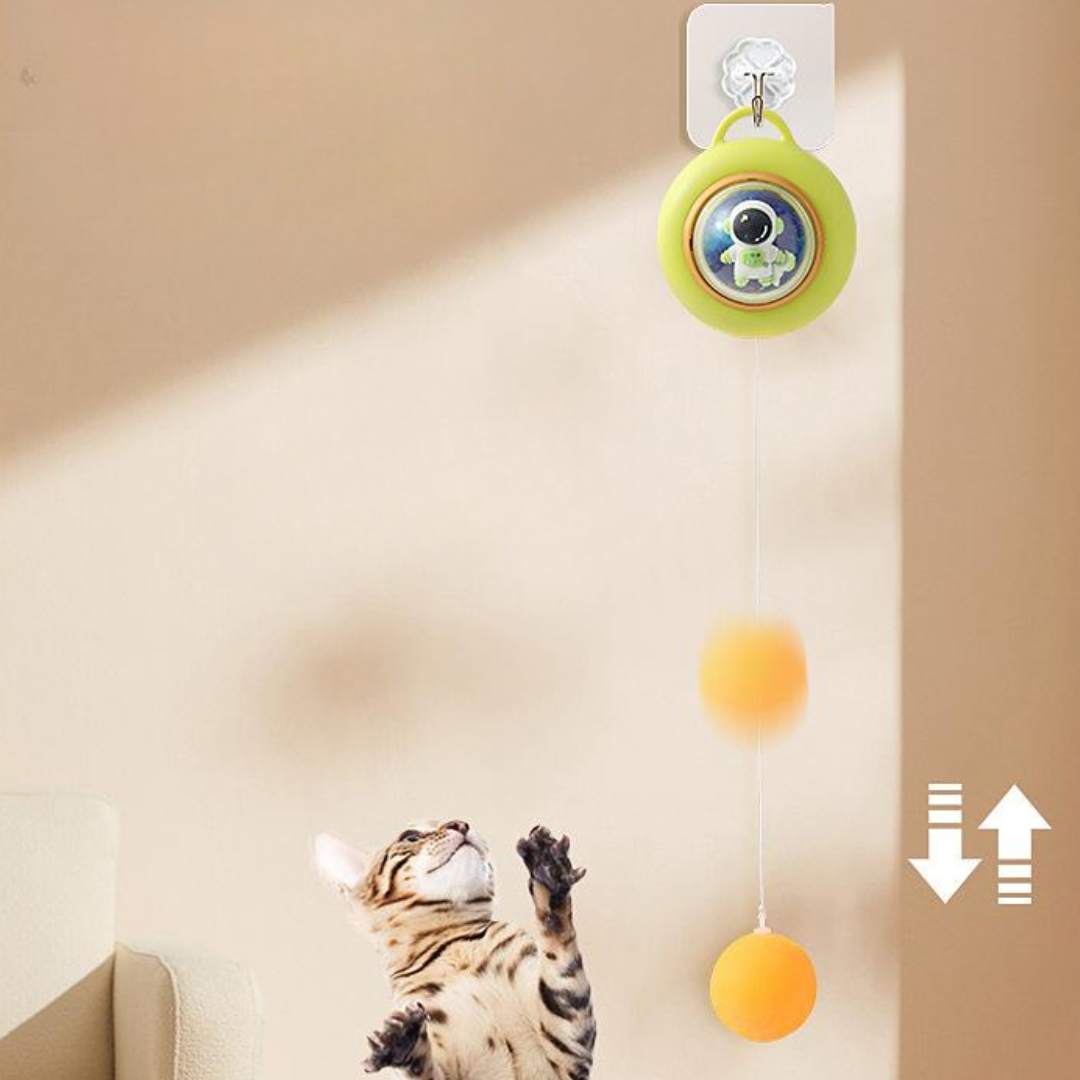 Interactive Door Hanging Cat Dangling Ball Toys - Cat Toys - DINIBLO 