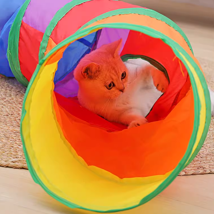 Foldable Cat Tunnel Toys For Indoor Cats - Cat Toys - DINIBLO 