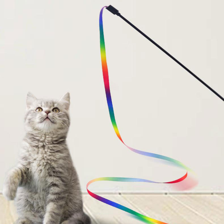 Rainbow Ribbon Cat Teaser Toy - Cat Toys - DINIBLO 