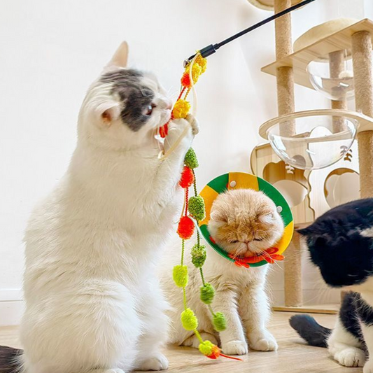 Cat Toys Teaser Wands Colorful Pom Pom - Cat Toys - DINIBLO 