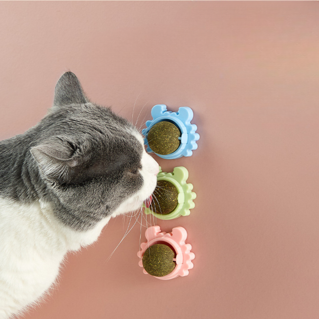 Crab Rotating Catnip Treats Ball Toys - Cat Treats - DINIBLO 