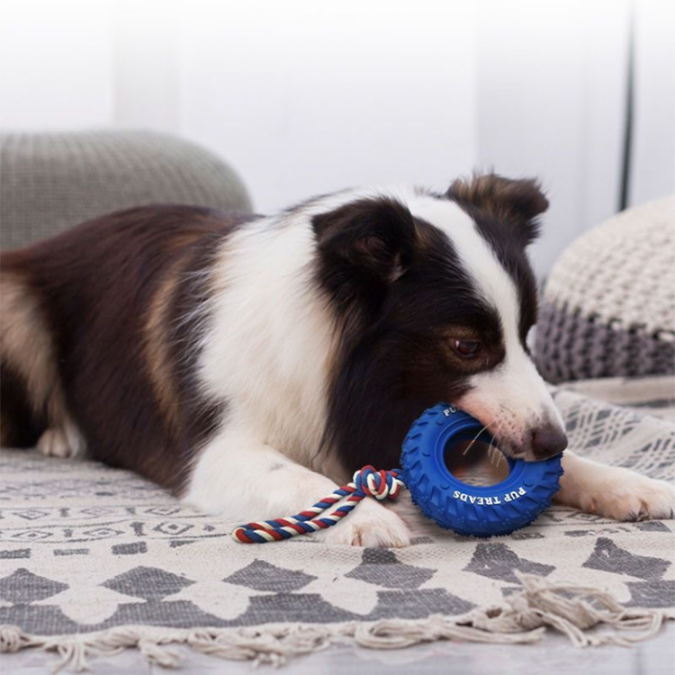 Dogs Chew Tug Of War Toys Tire Rope - Dog Toys - DINIBLO 