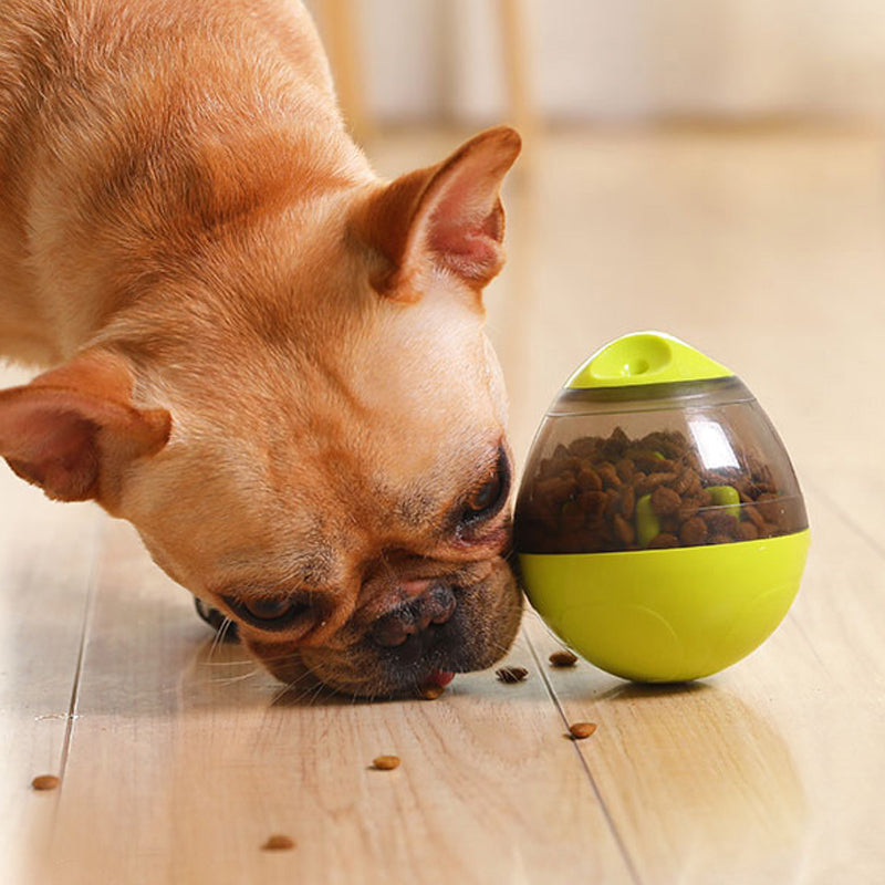 Interactive Pet Toy IQ Treat Ball Food Dispenser - Pet Bowls, Feeders & Waterers - DINIBLO 