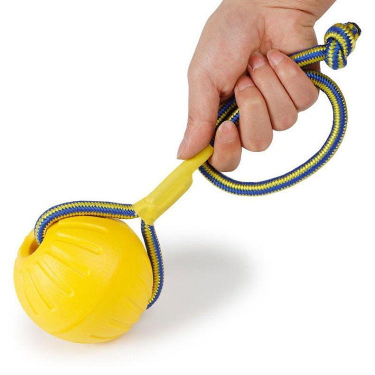 Dog Chew Ring Ball Toys - dog toy - DINIBLO 