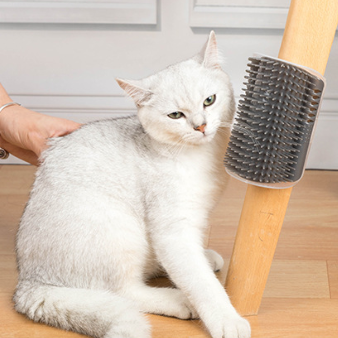 Pet Cat Self Groomer Brush - Pet Combs & Brushes - DINIBLO 