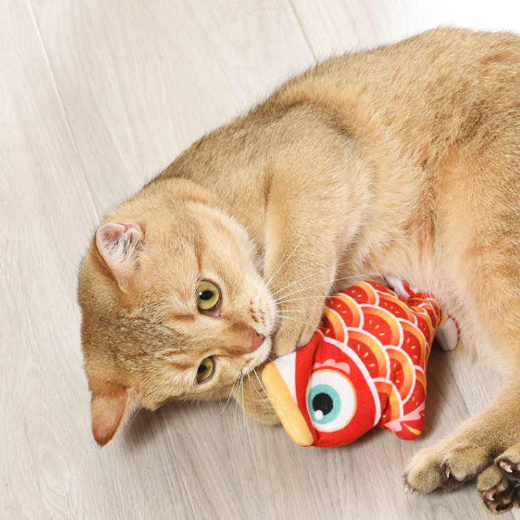 Interactive Flopping Fish Electronic Cat Toy - Cat Toys - DINIBLO 