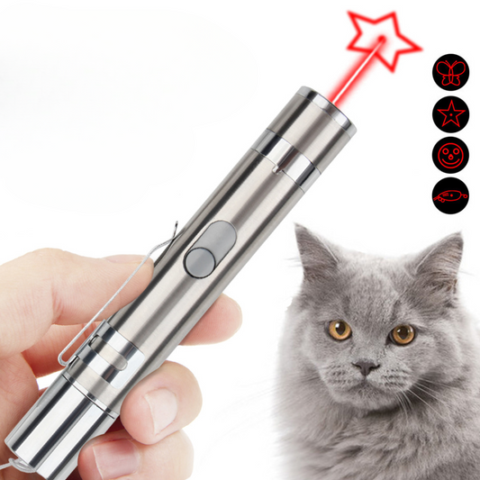 Cat Laser Toys - Cat Toys - DINIBLO 