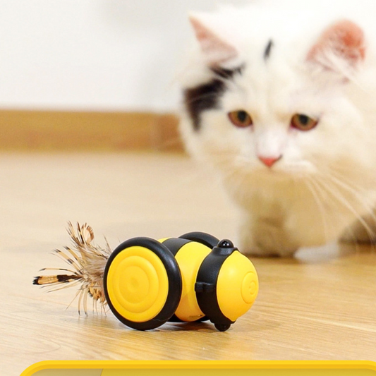 Bees Cat Car Toys - Cat Toys - DINIBLO 