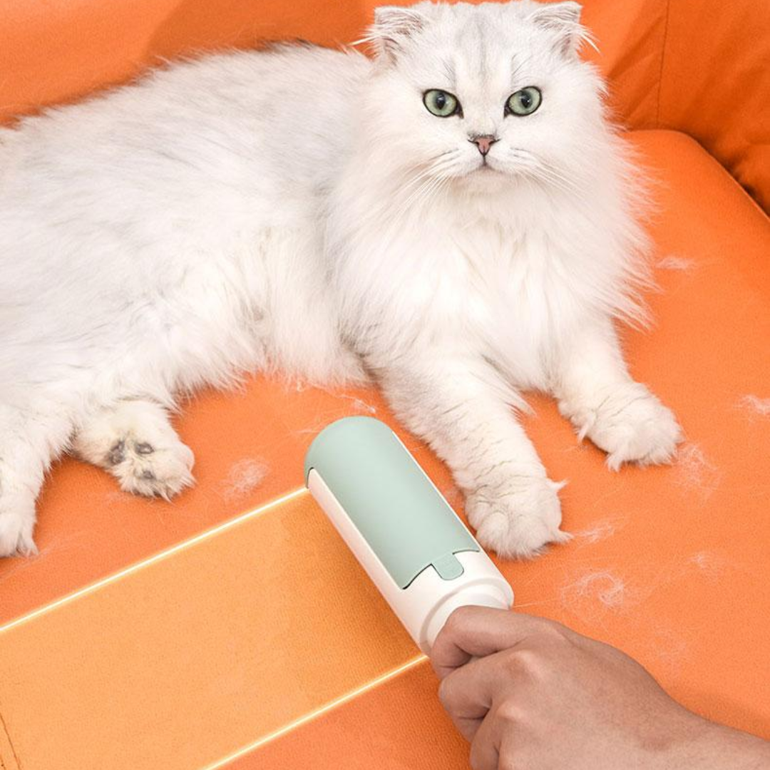 Pet Fur Lint Roller Cather Removal Brush - Pet Combs & Brushes - DINIBLO 