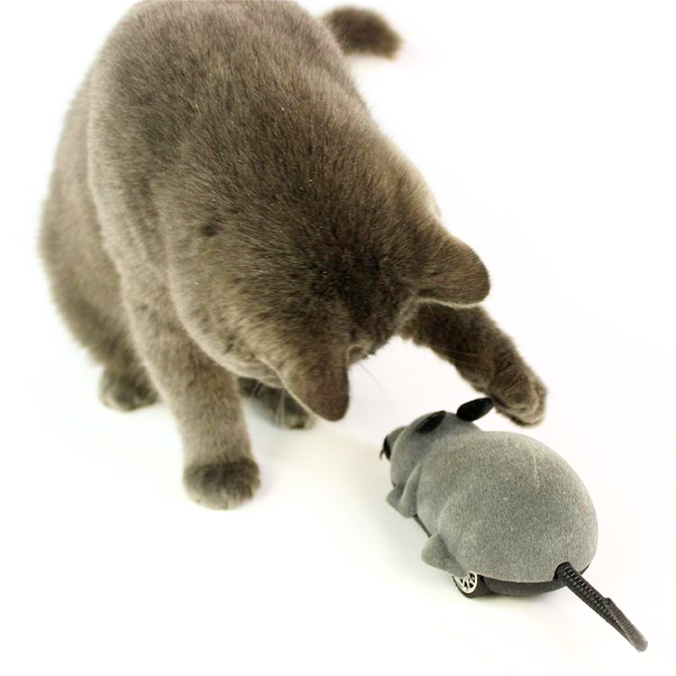 Interactive Electric Moving Cat Mouse Mice Toys - Cat Toys - DINIBLO 