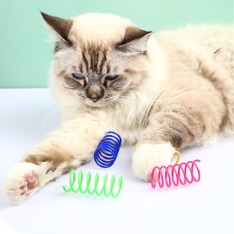 Colorful Springs Toy For Indoor Cats - Cat Toys - DINIBLO 