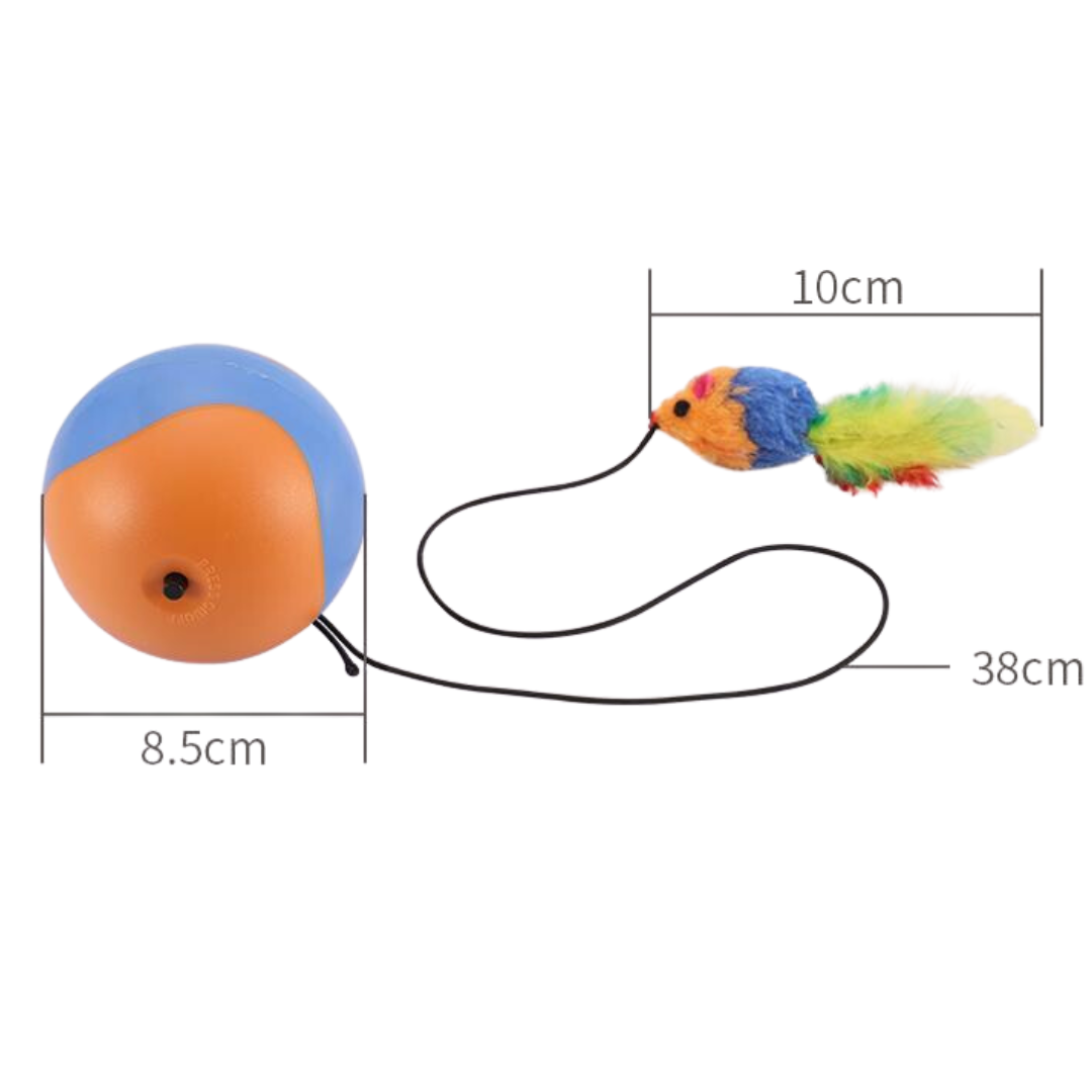 Cat Rolling Ball Toys With Mouse Feather - Cat Toys - DINIBLO 